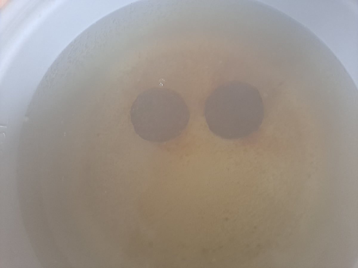 마을 회관 준공식 댕유자 쌍화차 핵심 포인트 총 정리