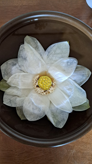 백화초 농원 꽃차 당신의 일상에 어떤 변화를 주었나요